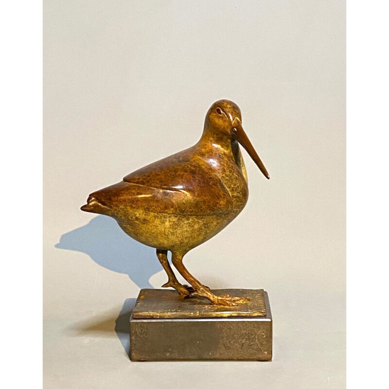 Water snipe- Veerle LORIES